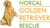 Norcal Golden Retriever Rescue